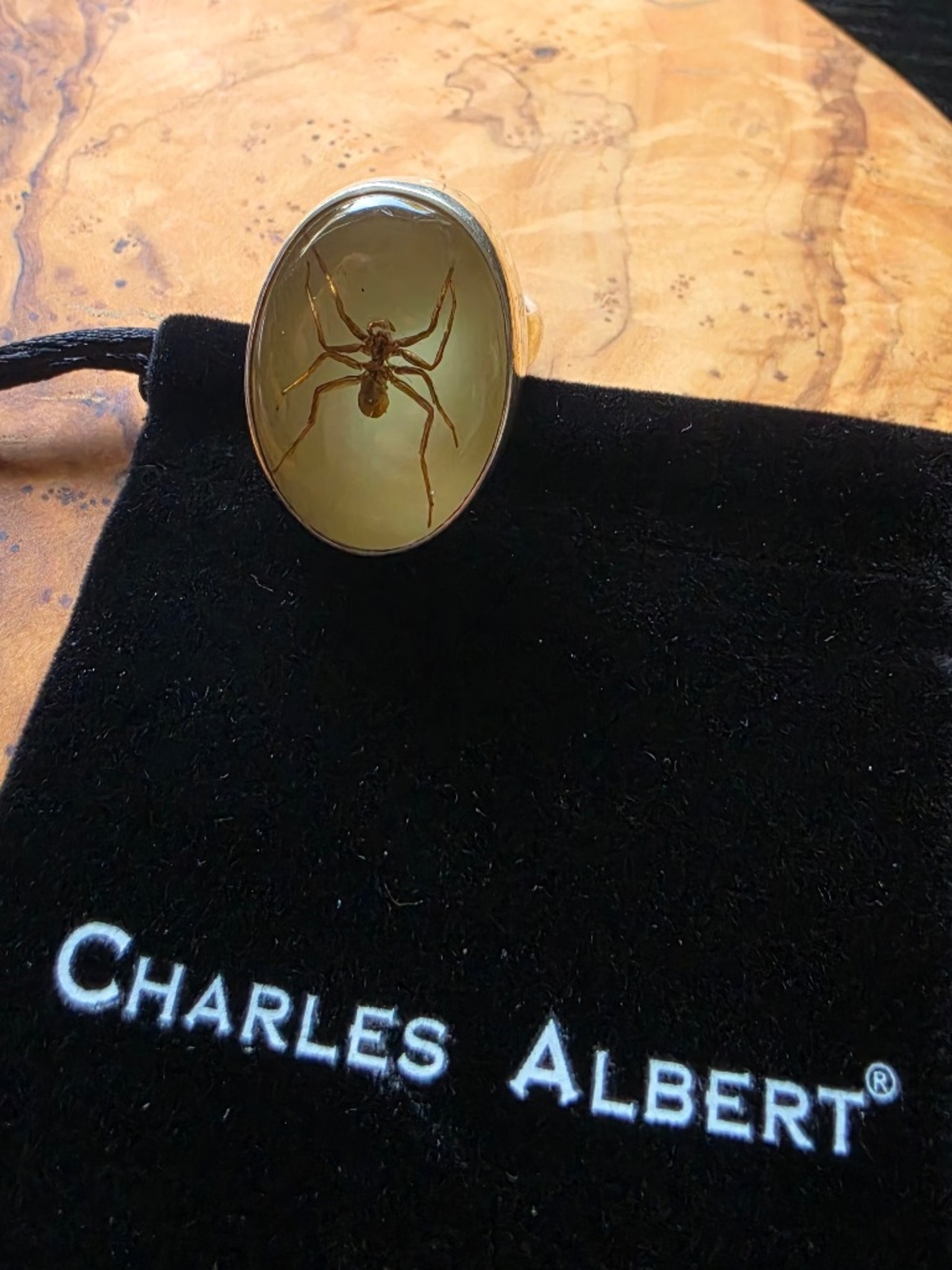 Fine Silver & Brown Recluse Spider Ring (Glows in the Dark!)